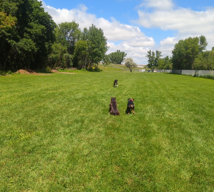 winnebago-county-dog-park-photo